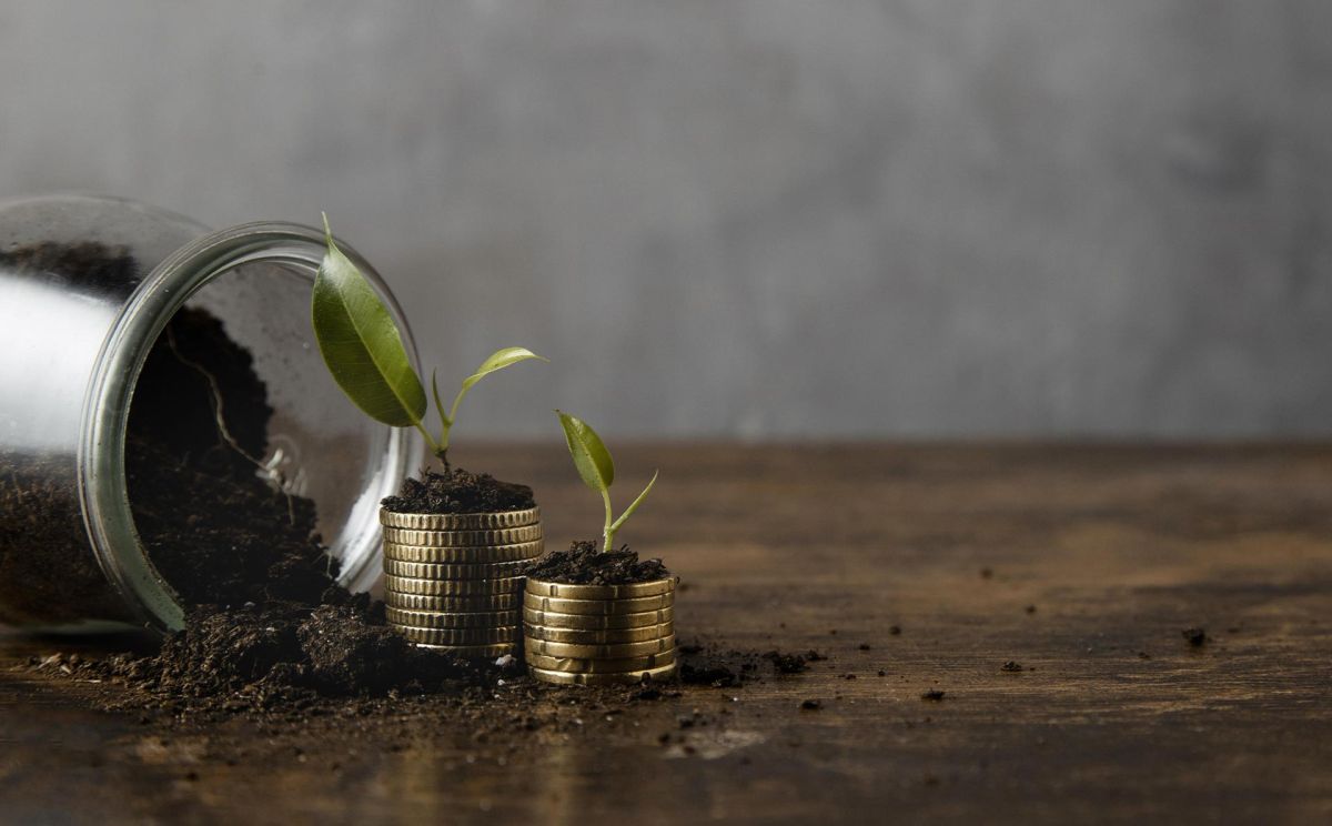 Plants Growing on Money | Aluma Capital (Pty) Ltd